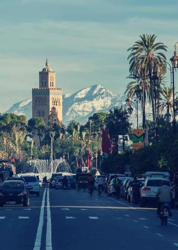 Authentic Moroccan Charm Apartment In Marrakech Terrace Marrakesh Exteriör bild