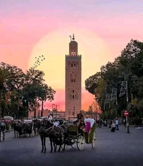 Authentic Moroccan Charm Apartment In Marrakech Terrace Marrakesh Exteriör bild