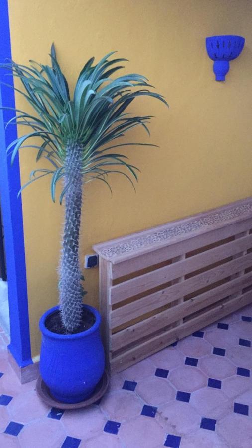 Authentic Moroccan Charm Apartment In Marrakech Terrace Marrakesh Exteriör bild